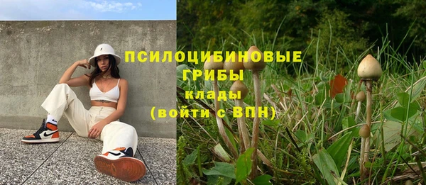 прущие крисы Алзамай