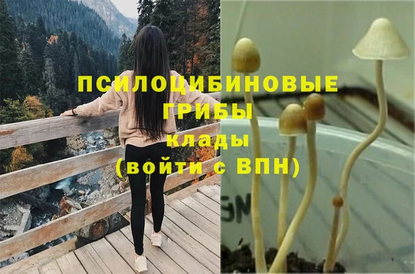 гидропоника Алексеевка