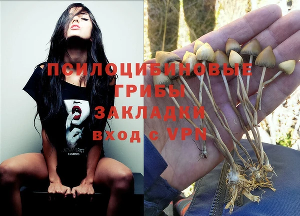 гидропоника Алексеевка