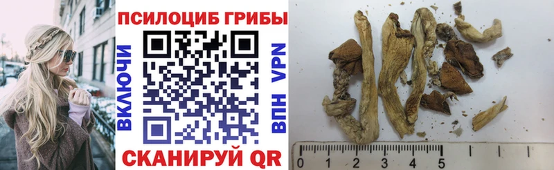 Галлюциногенные грибы мицелий  Темрюк 